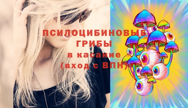 spice Краснослободск