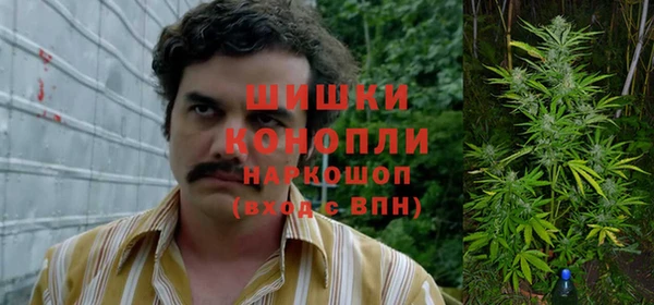 крисы Краснотурьинск