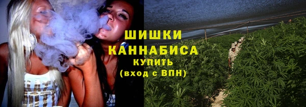 крисы Краснотурьинск